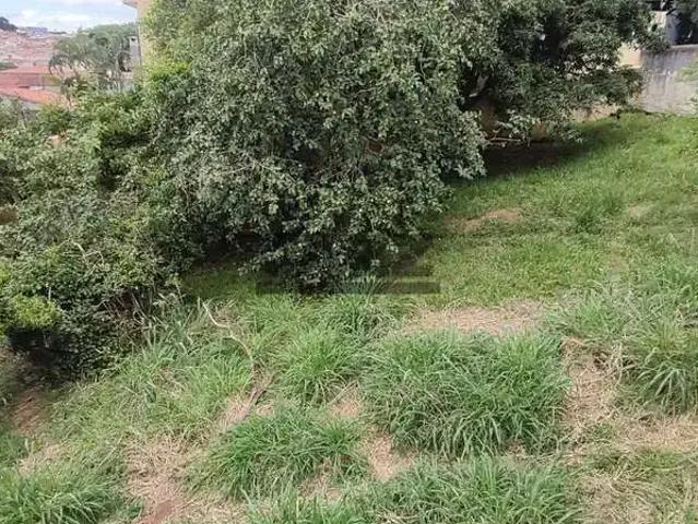 Terreno / Lote para Venda em Bragança Paulista/SP Vila Santa Cristina