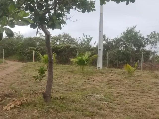 Terreno / Lote para Venda em Brasília/DF Área Rural do Gama