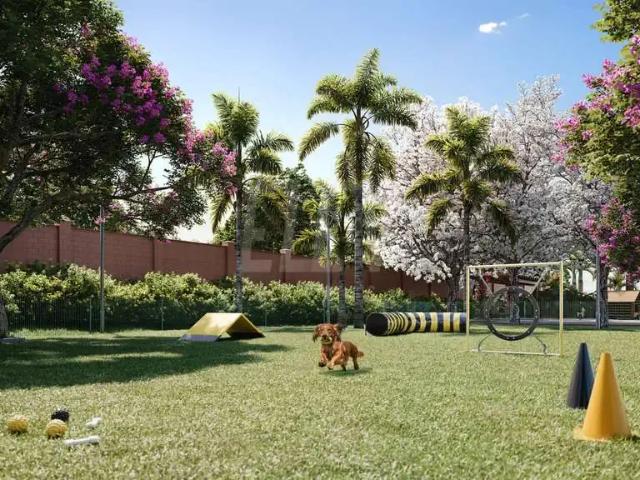 Terreno / Lote para Venda em Brasília/DF Paranoá