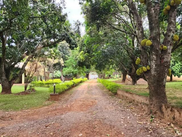 Terreno / Lote para Venda em Brasília/DF Setor Habitacional Arniqueira Águas Claras