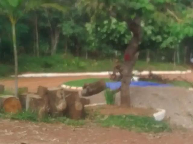Terreno / Lote para Venda em Brasília/DF Setor Habitacional Jardim Botânico