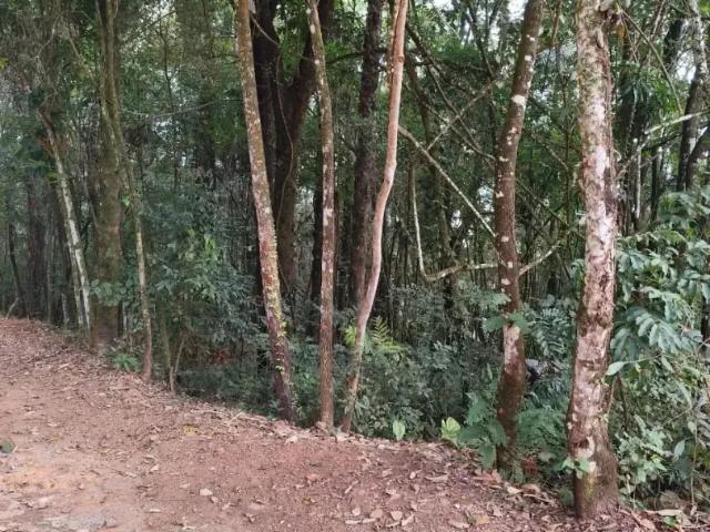Terreno / Lote para Venda em Brumadinho/MG Condomínio da Aldeia da Cachoeira das Pedras