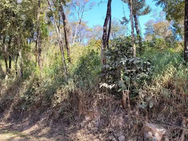 Terreno / Lote para Venda em Brumadinho/MG Córrego Fundo