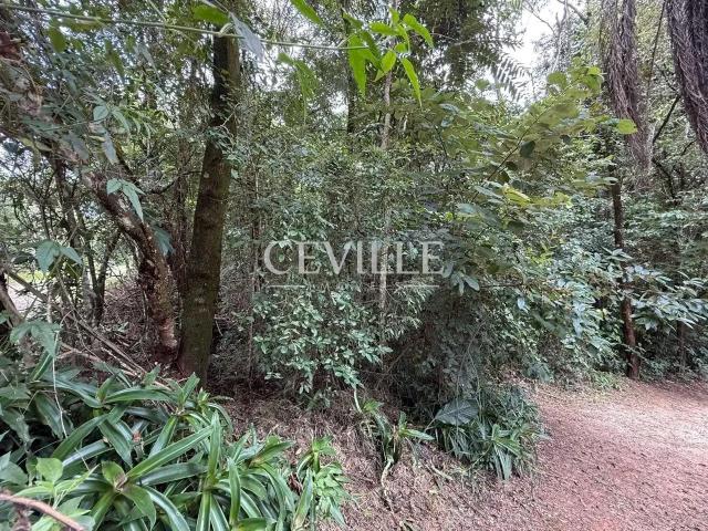 Terreno / Lote para Venda em Brumadinho/MG Casa Branca