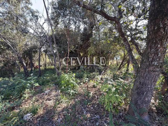Terreno / Lote para Venda em Brumadinho/MG Casa Branca