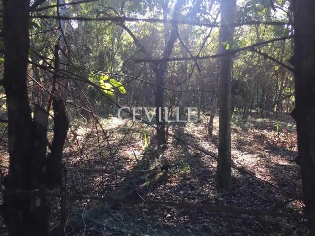 Terreno / Lote para Venda em Brumadinho/MG Casa Branca