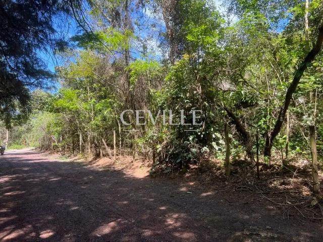 Terreno / Lote para Venda em Brumadinho/MG Casa Branca