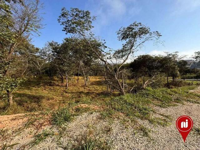 Terreno / Lote para Venda em Brumadinho/MG Ficus