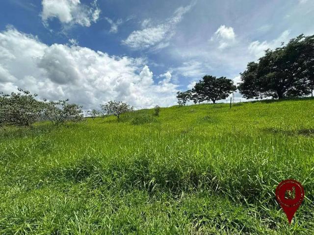Terreno / Lote para Venda em Brumadinho/MG Ficus