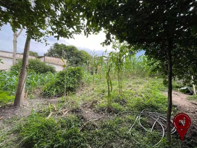 Terreno / Lote para Venda em Brumadinho/MG Jota