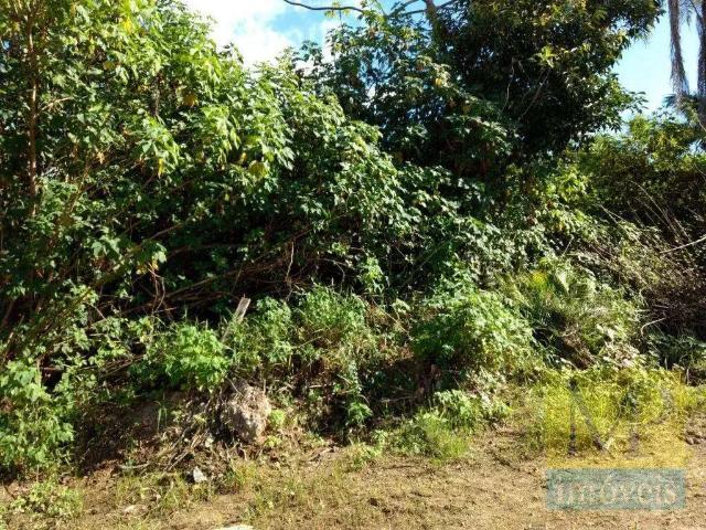 Terreno / Lote para Venda em Brusque/SC Centro I