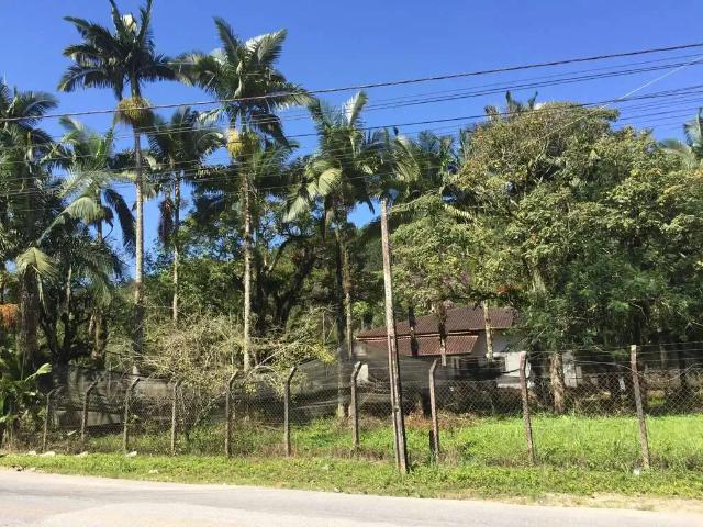 Terreno / Lote para Venda em Brusque/SC Centro II