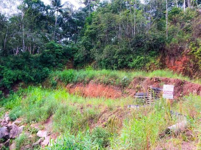 Terreno / Lote para Venda em Brusque/SC Bateas