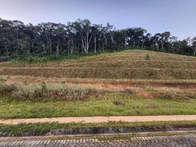 Terreno / Lote para Venda em Brusque/SC Dom Joaquim