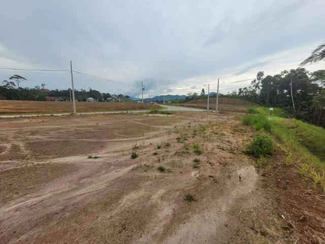 Terreno / Lote para Venda em Brusque/SC Dom Joaquim