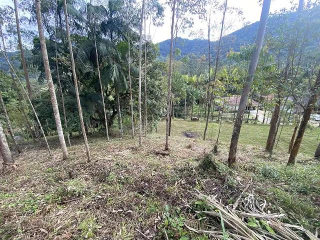Terreno / Lote para Venda em Brusque/SC Dom Joaquim