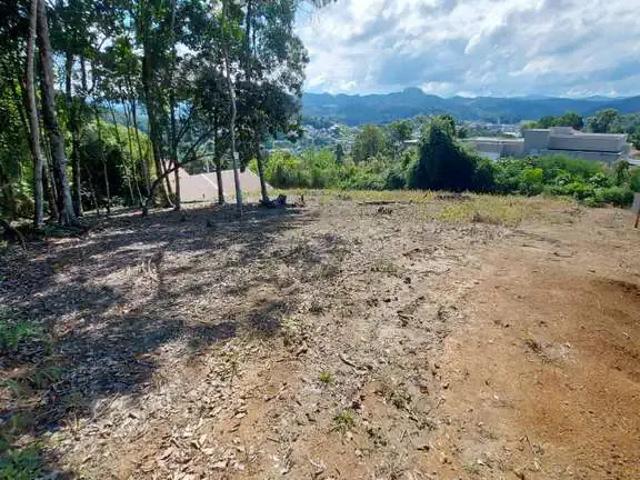 Terreno / Lote para Venda em Brusque/SC Dom Joaquim