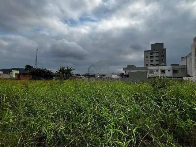 Terreno / Lote para Venda em Brusque/SC Dom Joaquim