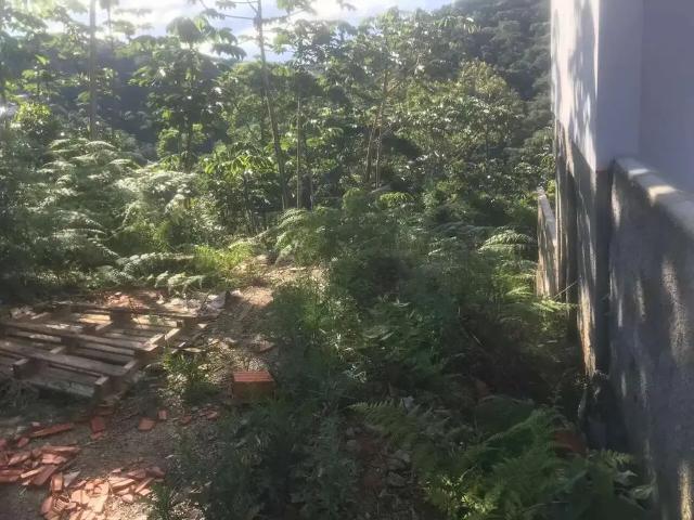 Terreno / Lote para Venda em Brusque/SC Limeira Baixa