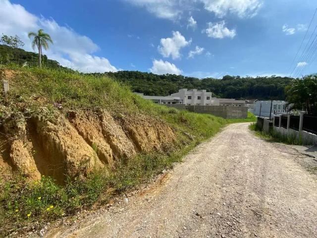 Terreno / Lote para Venda em Brusque/SC Limeira Baixa