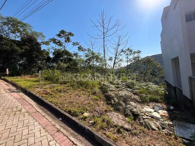 Terreno / Lote para Venda em Brusque/SC Limeira Baixa