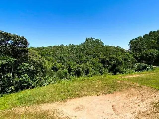 Terreno / Lote para Venda em Brusque/SC Limoeiro