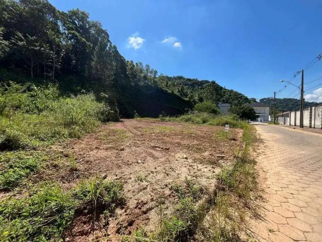 Terreno / Lote para Venda em Brusque/SC São Pedro