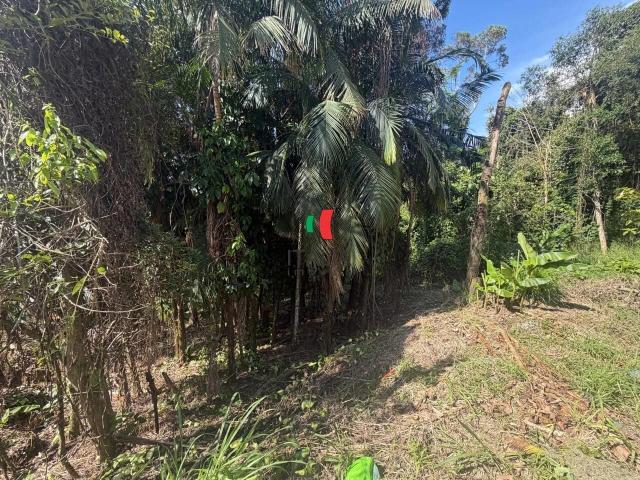 Terreno / Lote para Venda em Brusque/SC Souza Cruz
