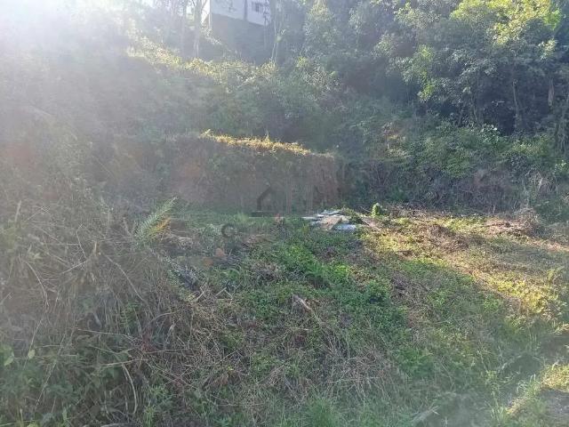 Terreno / Lote para Venda em Brusque/SC Souza Cruz