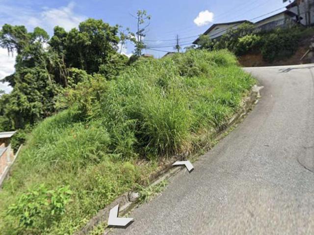 Terreno / Lote para Venda em Brusque/SC Souza Cruz