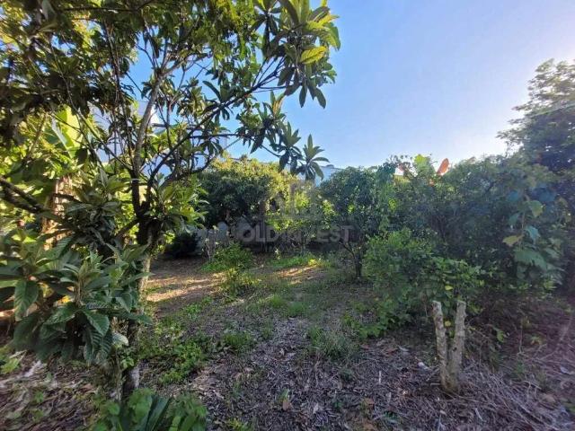 Terreno / Lote para Venda em Brusque/SC Rio Branco