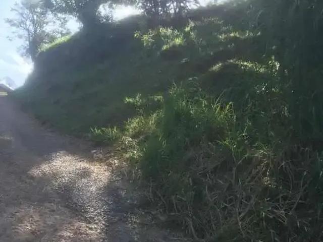 Terreno / Lote para Venda em Brusque/SC Volta Grande