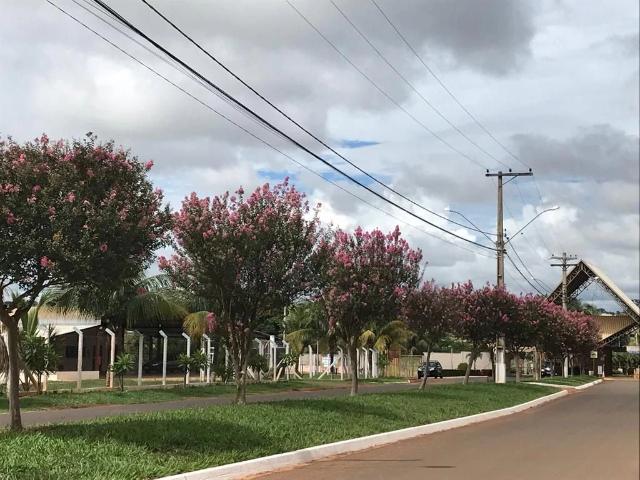 Terreno / Lote para Venda em Buritama/SP Buritama