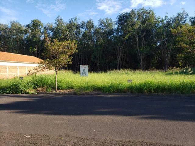Terreno / Lote para Venda em Buritama/SP Buritama
