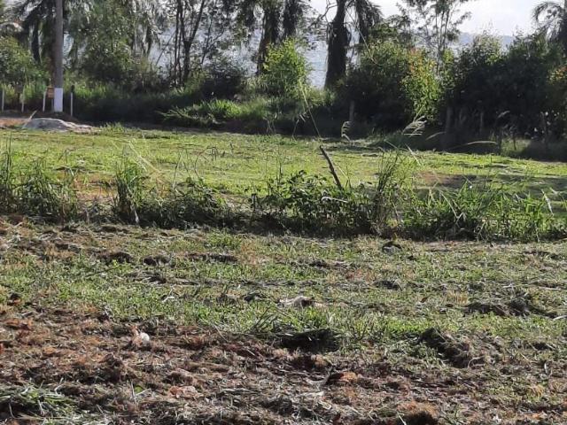 Terreno / Lote para Venda em Buritama/SP Buritama