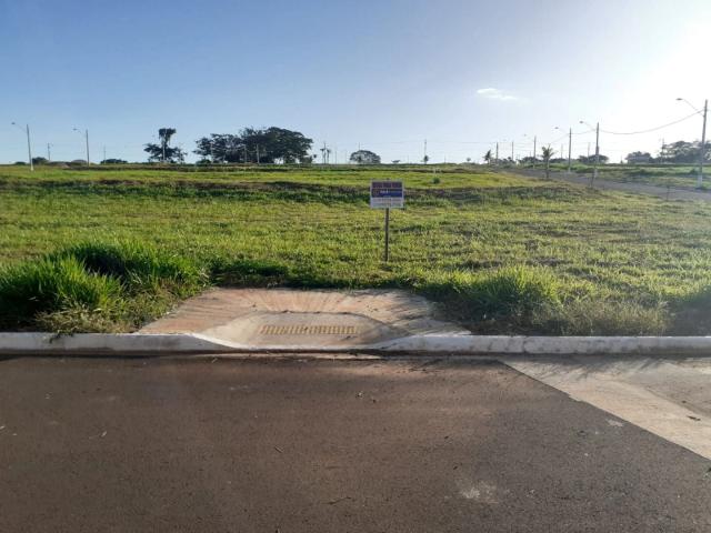 Terreno / Lote para Venda em Buritama/SP Buritama