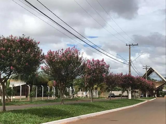 Terreno / Lote para Venda em Buritama/SP Centro
