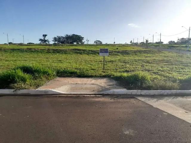 Terreno / Lote para Venda em Buritama/SP Centro