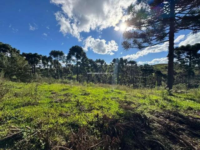 Terreno / Lote para Venda em Caçador/SC Área Rural de Caçador