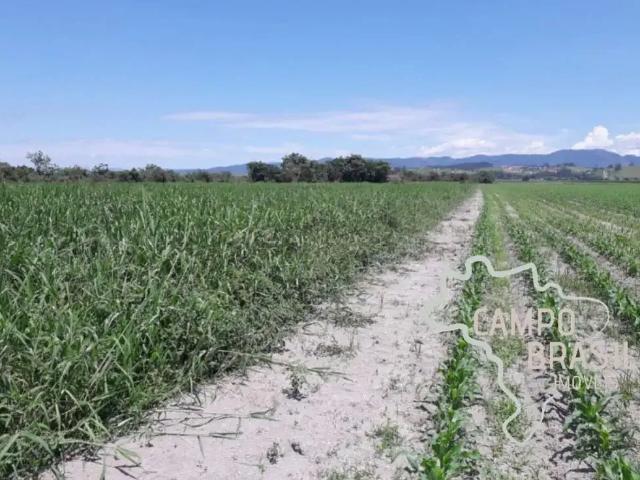 Terreno / Lote para Venda em Caçapava/SP Área Rural de Caçapava