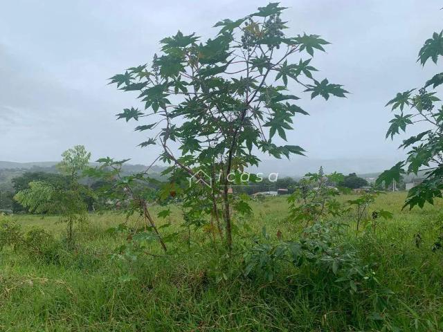 Terreno / Lote para Venda em Caçapava/SP Caçapava Velha
