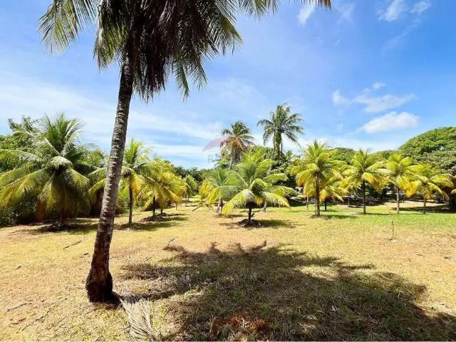 Terreno / Lote para Venda em Camaçari/BA Monte Gordo