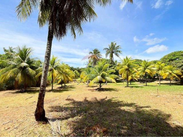 Terreno / Lote para Venda em Camaçari/BA Monte Gordo