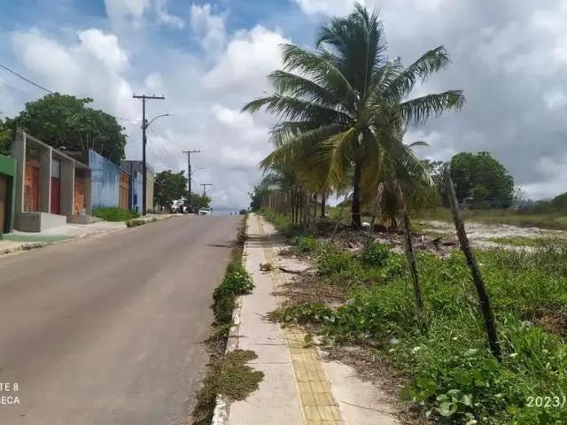 Terreno / Lote para Venda em Camaçari/BA Monte Gordo