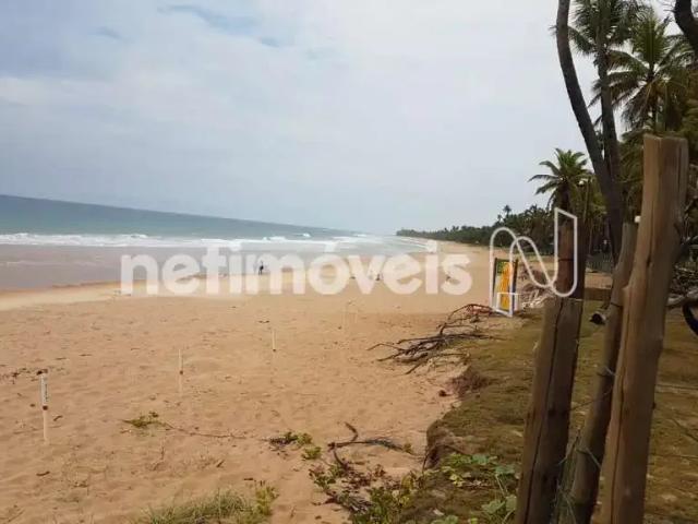 Terreno / Lote para Venda em Camaçari/BA Abrantes