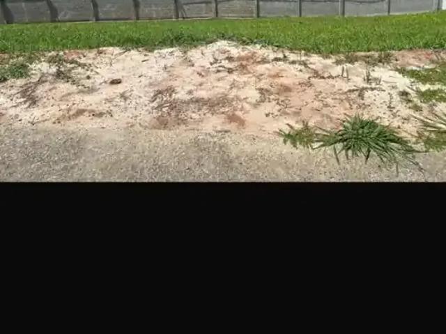 Terreno / Lote para Venda em Camaçari/BA Alphaville Litoral Norte I I
