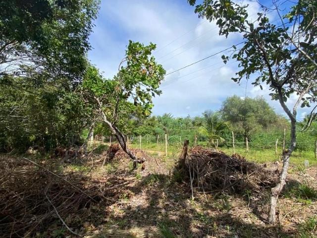 Terreno / Lote para Venda em Camaçari/BA Arembepe Abrantes