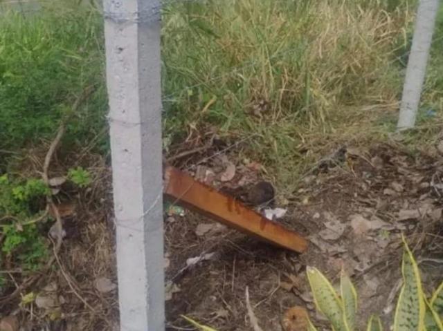 Terreno / Lote para Venda em Camaçari/BA Arembepe Abrantes