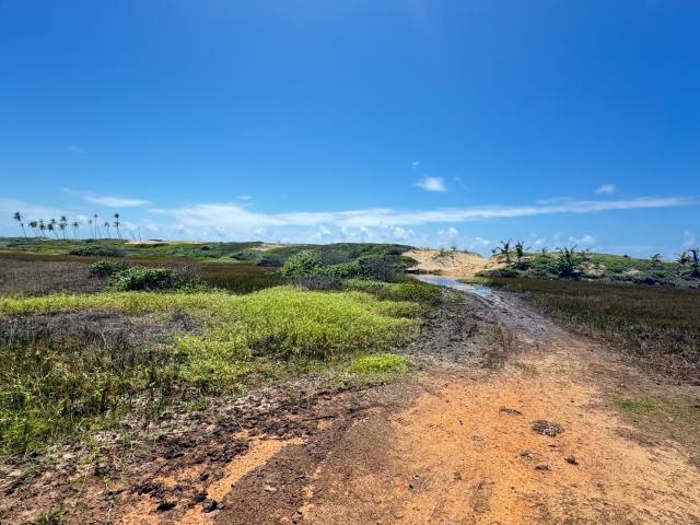 Terreno / Lote para Venda em Camaçari/BA Arembepe Abrantes