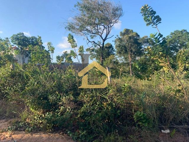 Terreno / Lote para Venda em Camaçari/BA Arembepe Abrantes